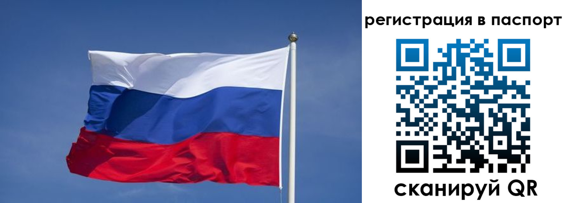 прописка в квартире в Зеленогорске